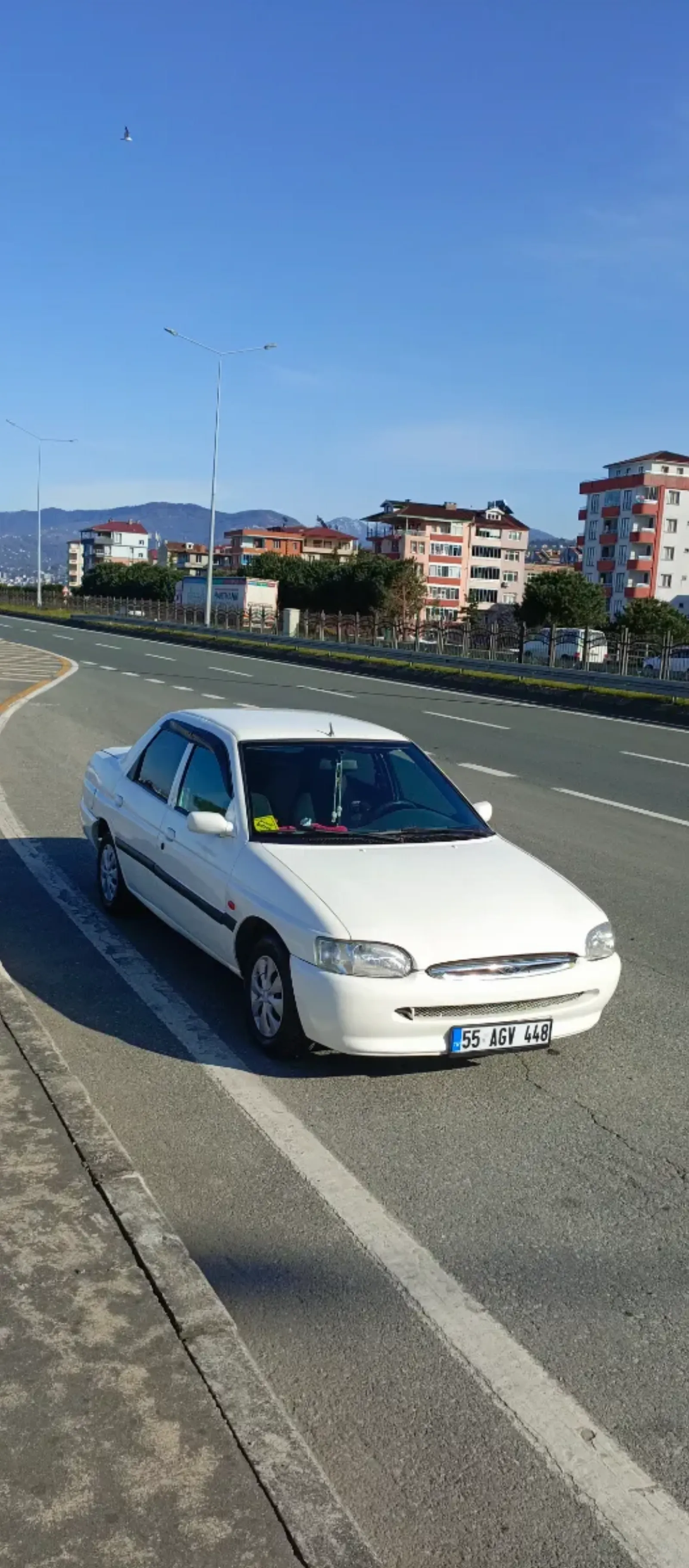 Beyaz inci satışta